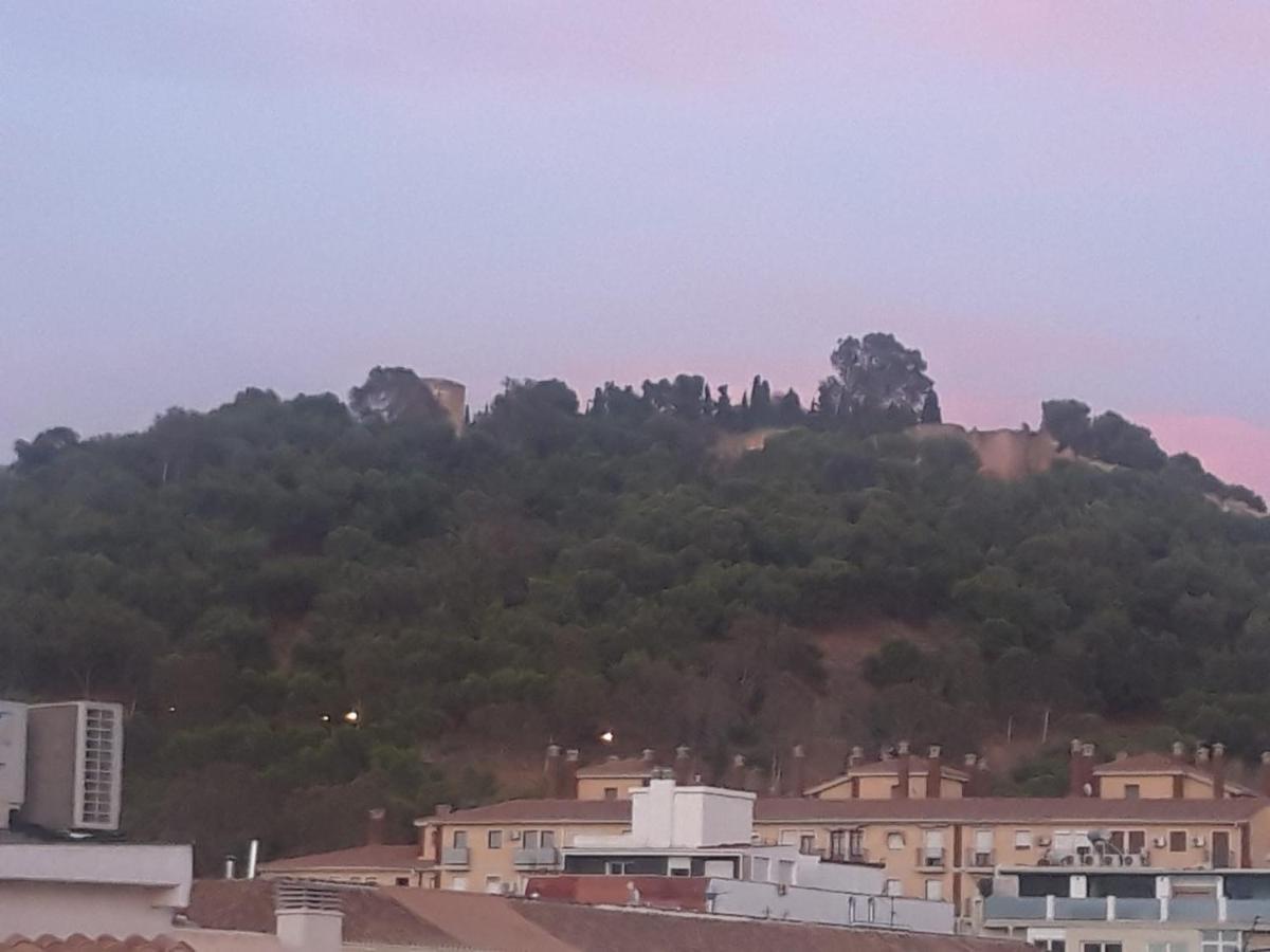Apartamentos Marques De La Merced Málaga Eksteriør billede